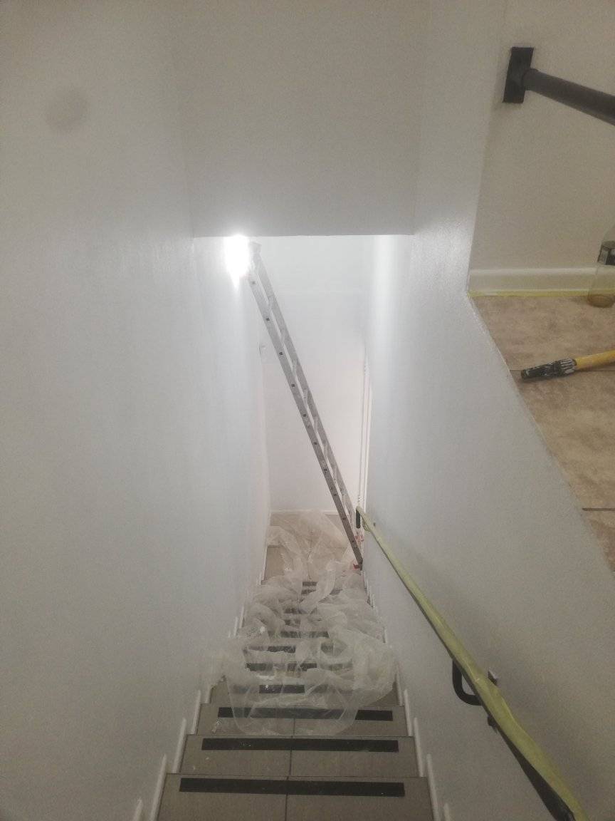 First Team Construction (2)